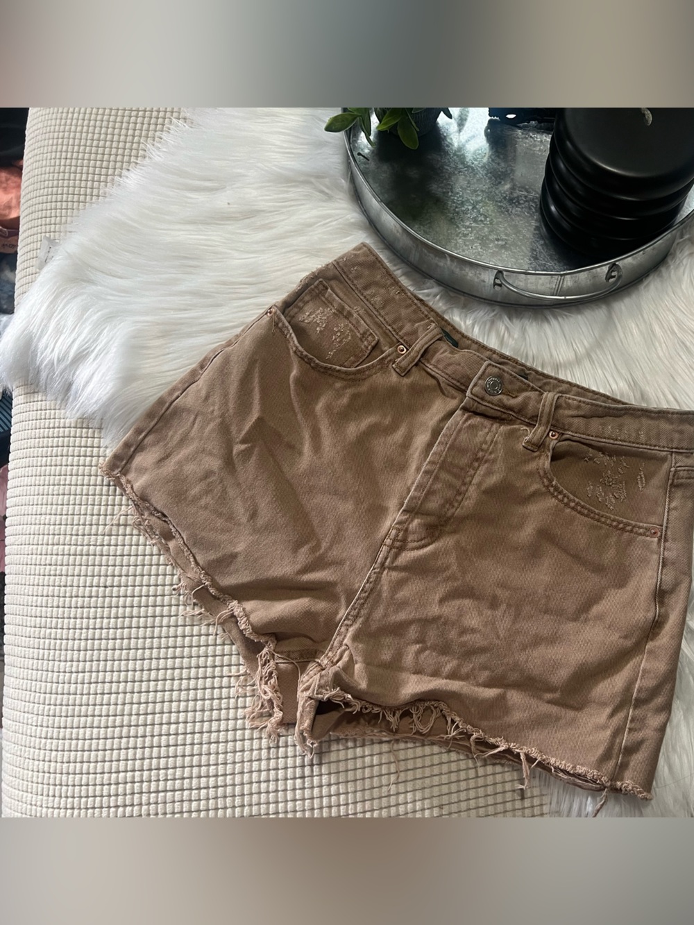 Wild fable shorts